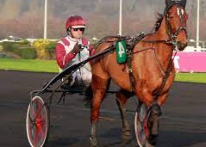 3 Chevaux Difficiles à Battre