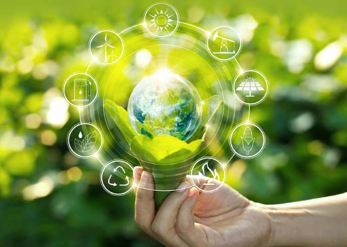 Sustainable Business Practices