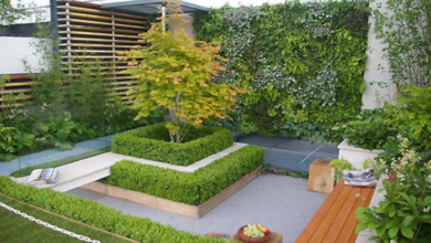 Cultivating Green Spaces in Small Living Environments