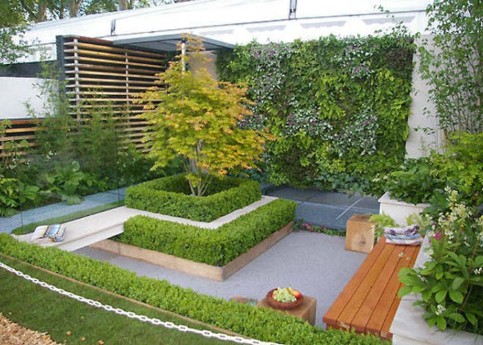 Cultivating Green Spaces in Small Living Environments