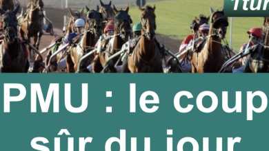 Cheval Coup Sur du Jour