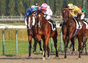 Evolution Des Cotes Pmu