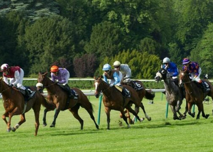 France Turf VIP