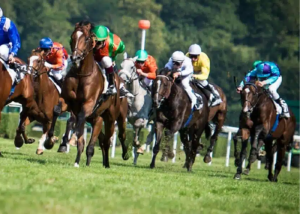 La Filiere Turf