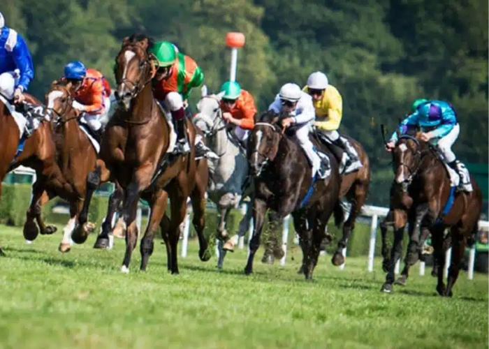 La Filiere Turf