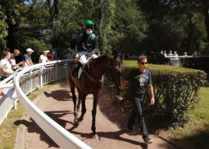 Meilleur Pronostic PMU Gagnant