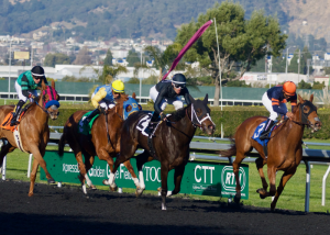 Meilleur Pronostic Pmu du Jour