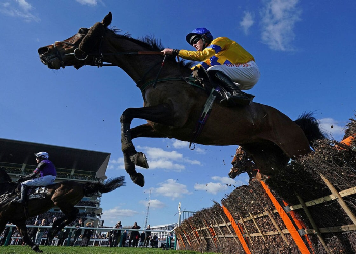 Pronostic Gratuit Turf