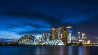 A Taste of Singapore, A Touch of Korea A Traveler's Guide to Lifestyles