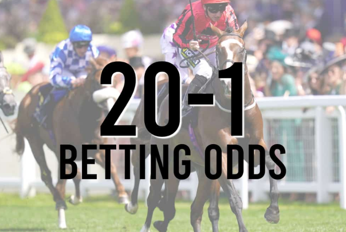 Maximize Your Gambling Profits With 20/1 Betting Odds