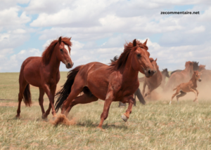 Le Specialiste du Tierce