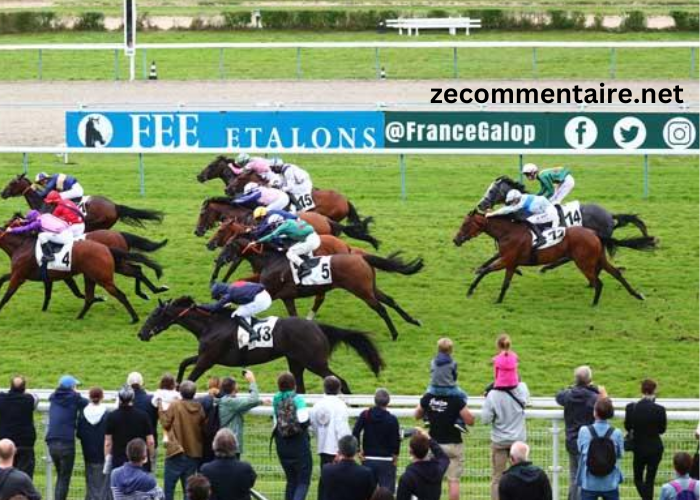 La Voyeuse Turf