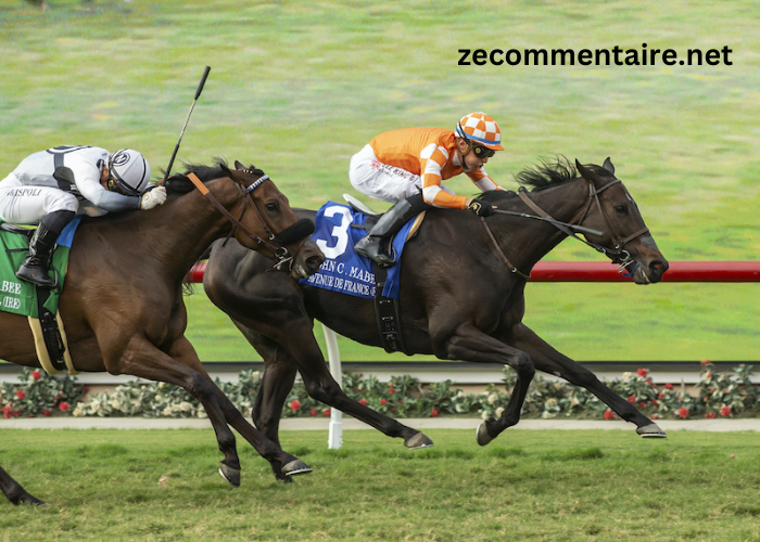 Turf de France