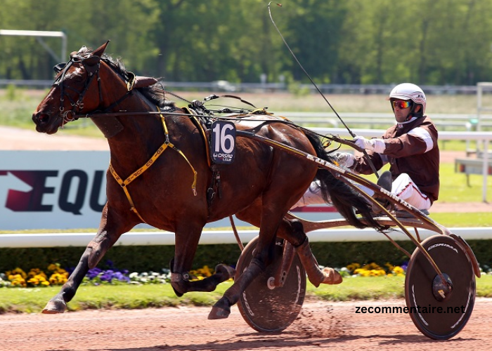 Le ROI du Turf