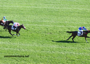 Arrivée du Jour Pmub