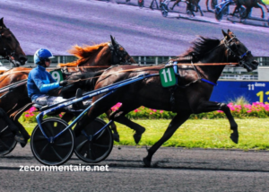 Les 3 Chevaux Incontournables
