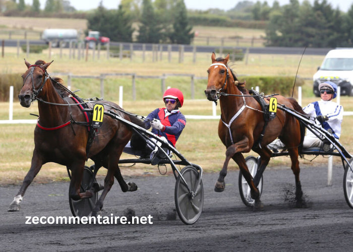 Les 7 Du Tiercé Les 7 Du Tiercé