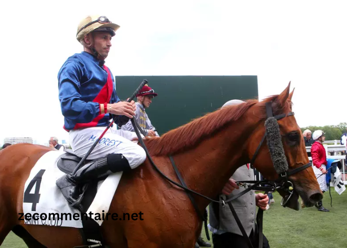Power Turf Gagnant Power Turf Gagnant