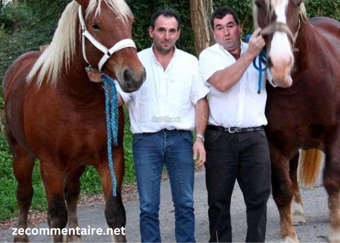 Le Vrai Duo Gagnant Le Vrai Duo Gagnant