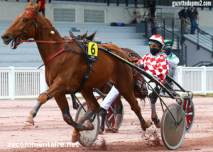 OK Info Turf PmuOK Info Turf Pmu