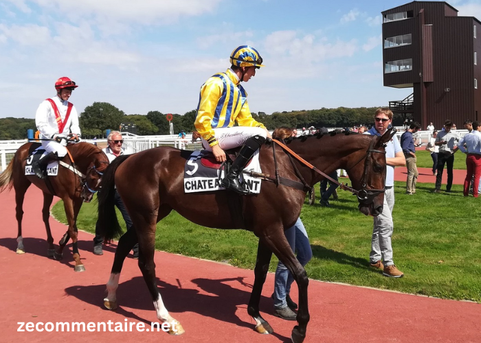 Prono Logique Turf