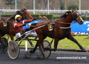 Turf Magique 3 Bases