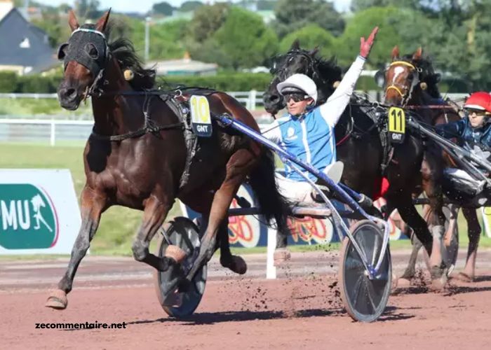 Les Leaders Turf