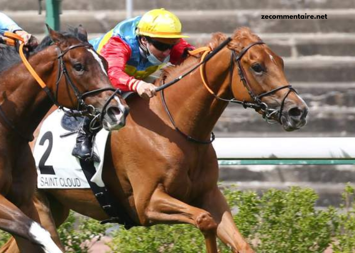 Pronostic en or Gratuite Pronostic en or Gratuite