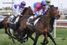 Club Hippique Gagnant