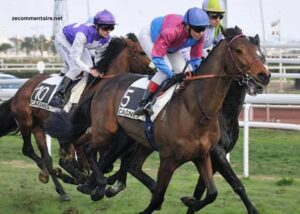 Club Hippique Gagnant