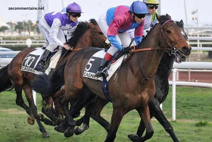 Club Hippique Gagnant