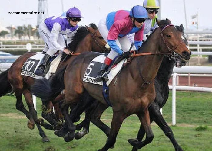 Club Hippique Gagnant