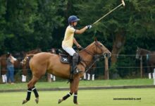 Derniere Minute Turf