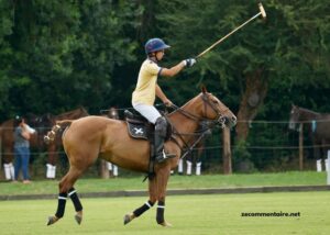 Derniere Minute Turf