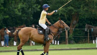 Derniere Minute Turf