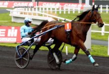 Dezcourse Couplé Incontournable (1)