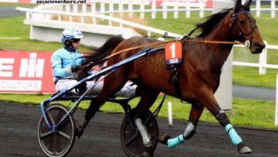 Dezcourse Couplé Incontournable (1)