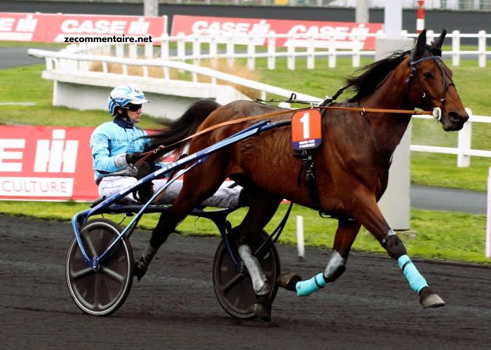 Dezcourse Couplé Incontournable Dezcourse Couplé Incontournable (1)