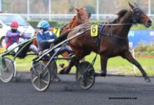 Don Du Ciel Turf