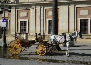 Expert Du Turf Pronostic Gratuit (2)