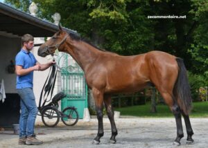 LA Cle Turf Présidentielle