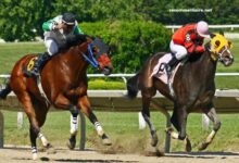LA Richesse Turf