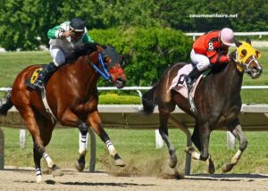 LA Richesse Turf