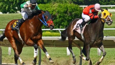 LA Richesse Turf