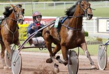 Legende Hippique Turf