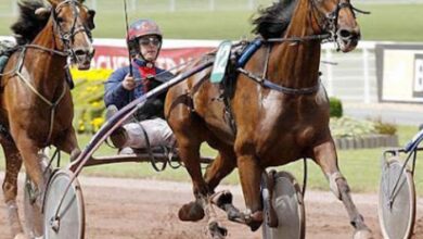 Legende Hippique Turf
