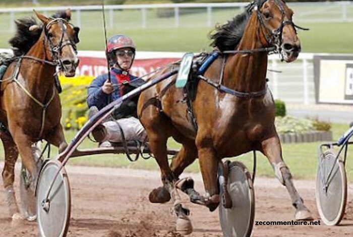 Legende Hippique Turf