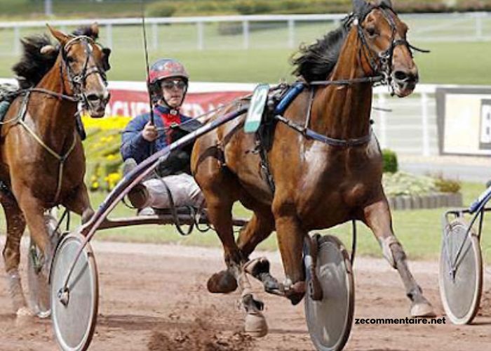 Legende Hippique Turf