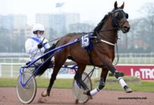 Maxi Prono Vérité