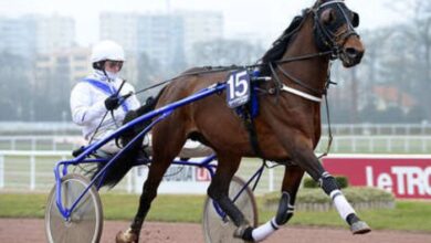 Maxi Prono Vérité